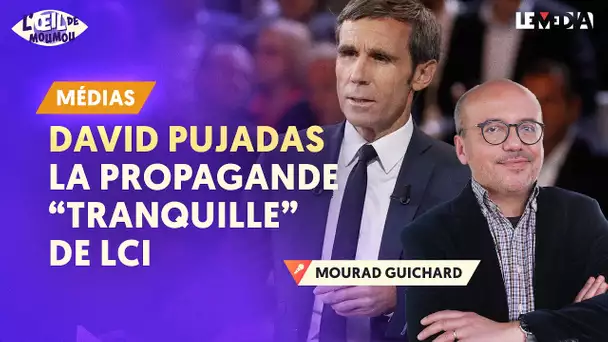 DAVID PUJADAS : LA PROPAGANDE "TRANQUILLE" DE LCI