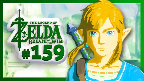 LINK, ÉLU D&#039;HYRULE ! - Zelda Breath of the Wild #159