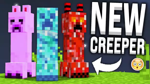 LES NOUVEAUX CREEPERS DE MINECRAFT... (dingue)