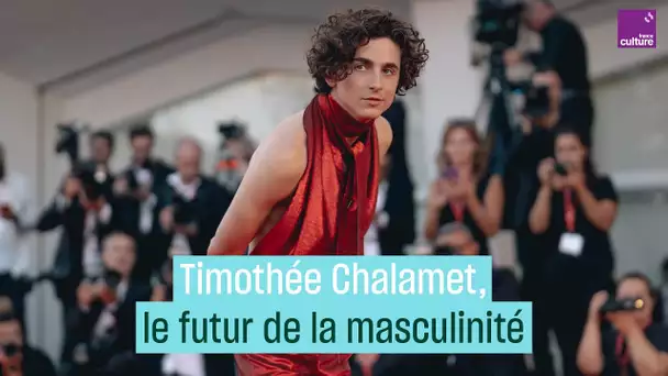 Timothée Chalamet, Tom Holland, Harry Styles : une réinvention de la masculinité ?