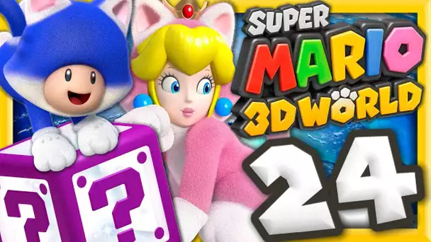 LA BOITE MYSTÈRE DU MONDE COURONNE ! | SUPER MARIO 3D WORLD EPISODE 24 CO-OP NINTENDO