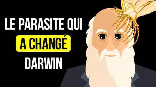 La Créature Que Darwin Détestait le Plus l'a Rendu Célèbre