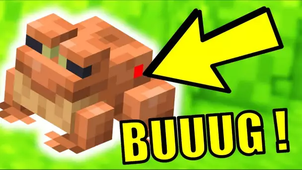 *NOUVEAU MOB* DES GRENOUILLES BUGEES DANS MINECRAFT !