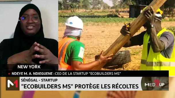 #MediUP / Sénégal : "Ecobuilders Ms" protège les récoltes