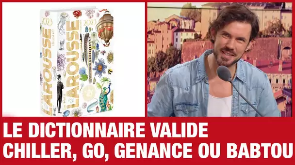 Chiller, go, gênance, babtou... les nouveaux mots du dictionnaire vus par Arnaud Demanche