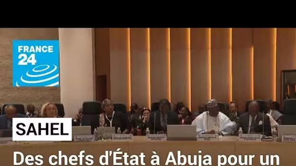 Des chefs d'État réunis à Abuja pour un sommet sur le contre-terrorisme • FRANCE 24
