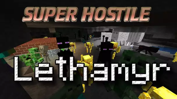 Aventure - Lethamyr - Ep 11 - Diamants wouhouuu !!