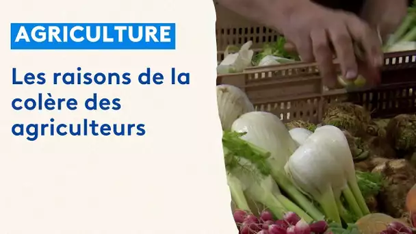 Les raisons de la colère des agriculteurs