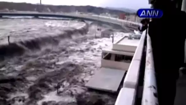 Japon : le choc du tsunami