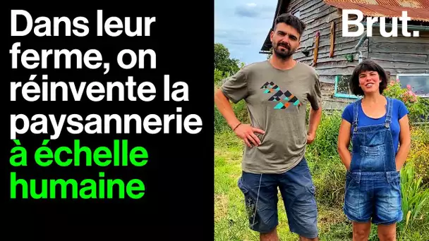 "On veut pas être vus en marge de la société" : visite de la ferme du Bol d'Herbe en Maine-et-Loire