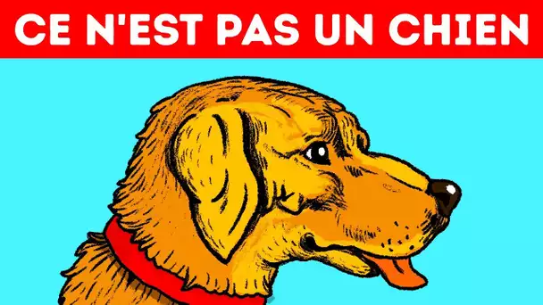 11 Illusions D’optique Qui Vont te Piéger