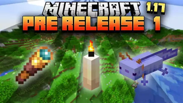 Minecraft 1.17 Pre-release 1 : Les advancements espagnols