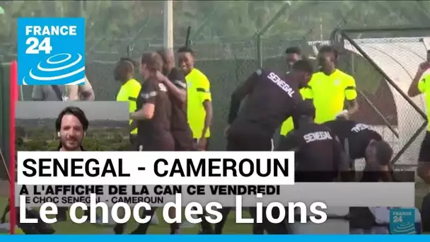 CAN 2024 : Sénégal-Cameroun, le choc des Lions • FRANCE 24