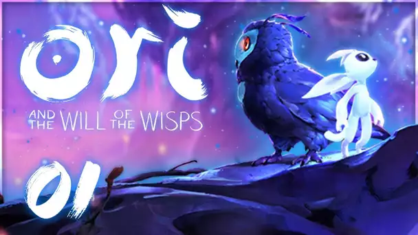 Ori and the Will of the Wisps : Le plus beau jeu au monde ! #01