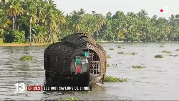 Feuilleton : sur la route des épices (5/5)