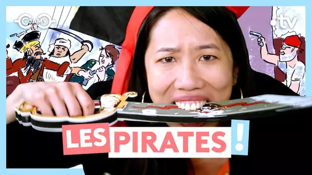 🏴‍☠️ D’où viennent les pirates ?