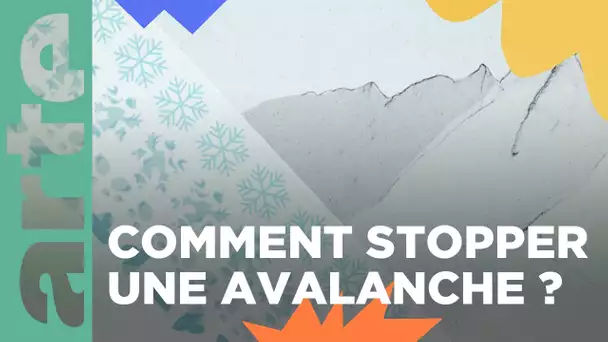 Dossier : Les avalanches | ARTE Family