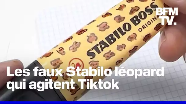 Le surligneur Stabilo léopard qui passionne Tiktok, n'existe pas