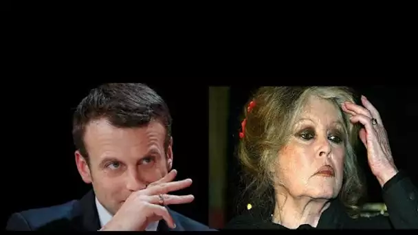 Pour Brigitte Bardot, Emmanuel Macron n'a pas d'humanité.