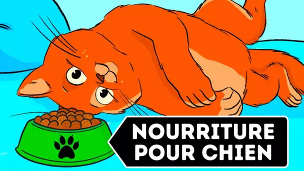 Pourquoi Les Chats Ne Peuvent-Ils Pas Manger De Nourriture Pour Chien