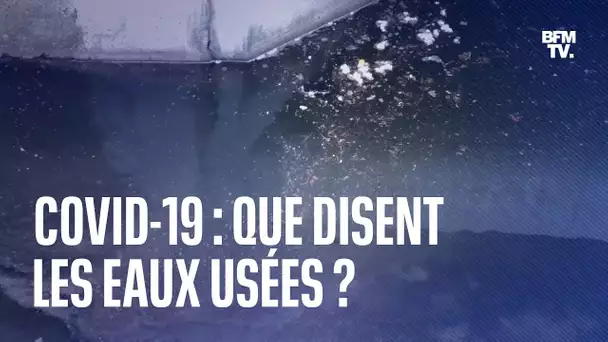 Covid-19: qui disent les eaux usées sur la circulation du virus ?