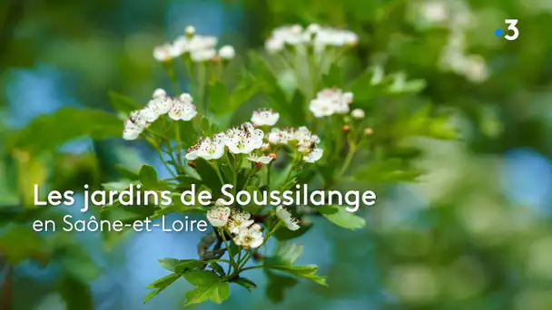 Les Jardins des Soussilanges, en Saône-et-Loire : un jardin remarquable niché au cœur d’un vallon