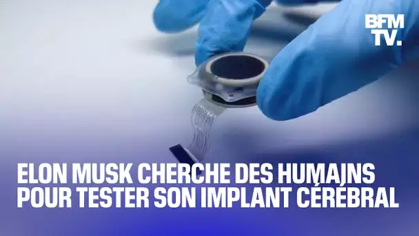 Elon Musk cherche maintenant des humains pour tester ses implants cérébraux