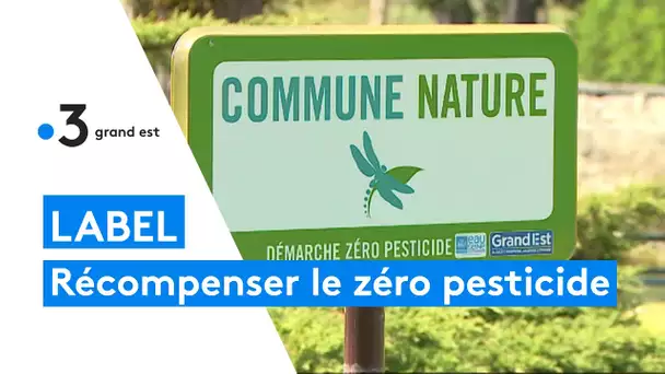 Label "Commune Nature" : des libellules pour récompenser les collectivités