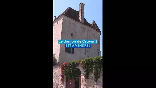 Le donjon de Cravant est à vendre !