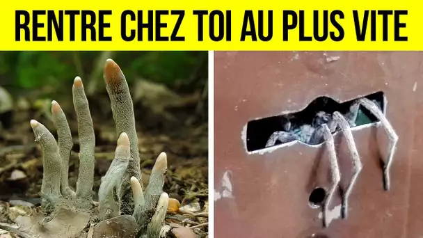 Ces Photos Te Donneront Plus D’énergie Qu’un Double Expresso