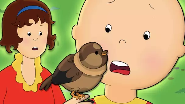 Caillou et L'Oiseau | Caillou en Français