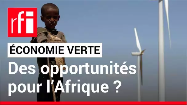 Le débat africain - Économie verte : quelles opportunités pour l’Afrique ? • RFI