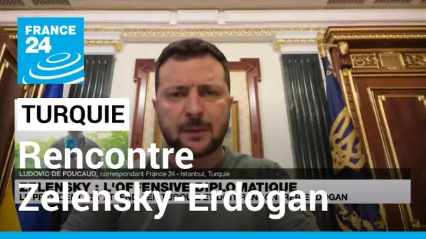Rencontre Zelensky-Erdogan : "Il sera notamment question de l'accord céréalier" • FRANCE 24