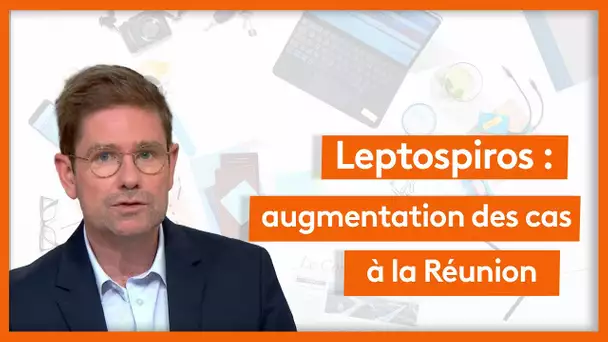 Santé - Leptospirose : de plus en plus de cas à La Réunion !