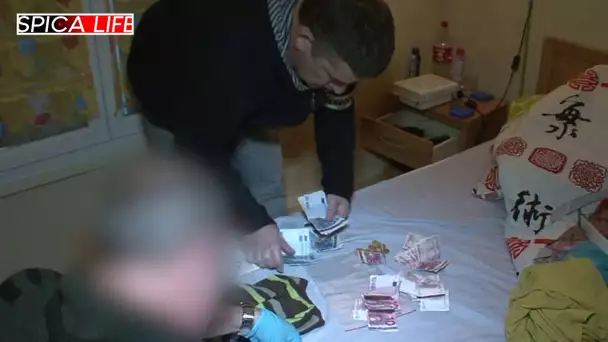 Perquis' à Livourne : arrestation et saisie en direct !