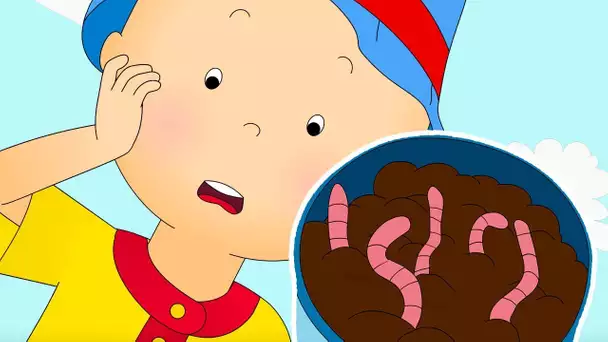 Caillou en Français | La Plus Grande Peur de Caillou | dessin animé pour bébé | NOUVEAU 2018