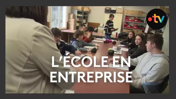Des collégiens dans une pépinière