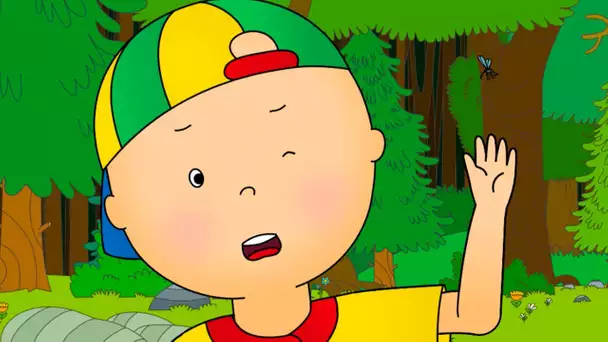 Caillou et le Moustique | Caillou en Français