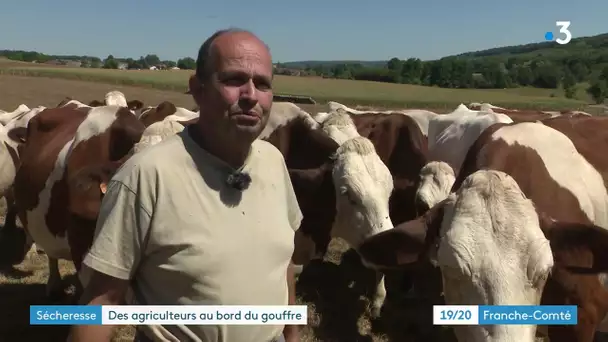 Sécheresse : en Haute-Saône, comme dans toute la région, les agriculteurs souffrent