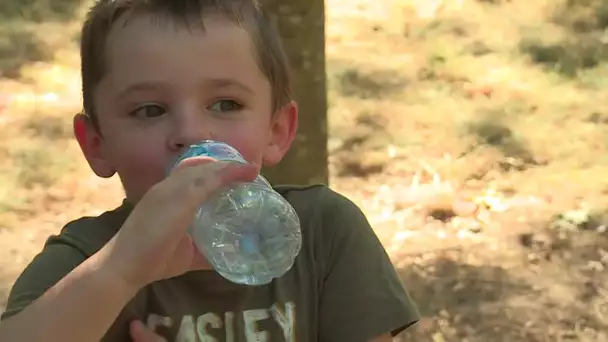 Météo. Canicule en Normandie : les bons réflexes à adopter