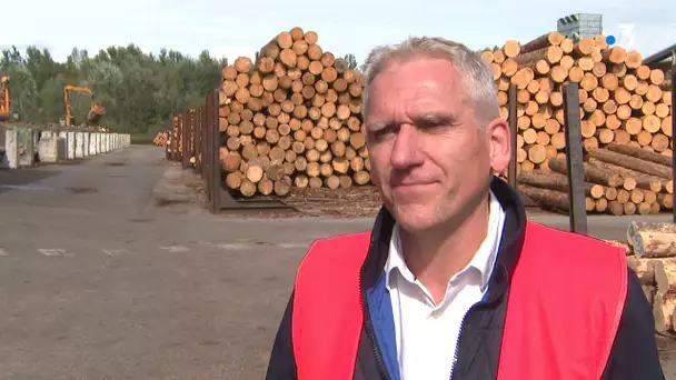 Faut-il craindre la pénurie de bois en Rhône-Alpes ?
