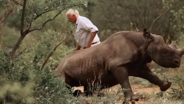“Rhino dollars”, une enquête vertigineuse sur la fin atroce des rhinocéros (extrait 2)