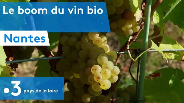 Nantes : les vins issus de la viticulture bio peinent à répondre à la demande des consommateurs