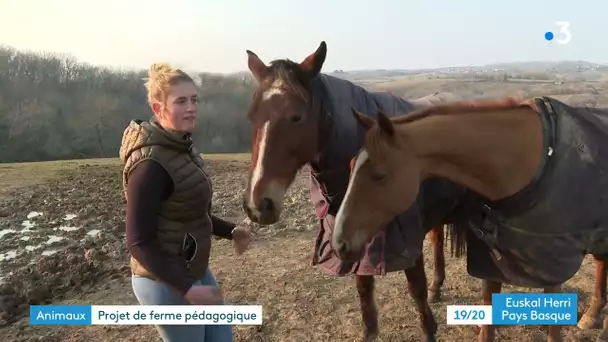 Une ferme pédagogique en projet à Halsou