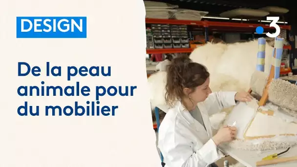 De la peau animale pour la fabrication de tapis et mobilier haut de gamme