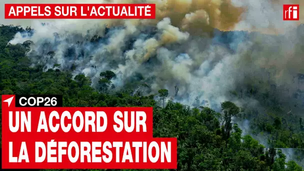 COP26 : plus de cent dirigeants s'engagent à stopper la déforestation d'ici à 2030 • RFI