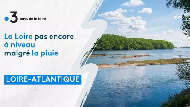 La Loire pas encore à niveau malgré la pluie