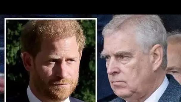 Harry a conseillé de suivre l'exemple du prince Andrew pour « raviver la réputation » après les bala