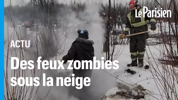 Incendies zombies au Canada : malgré la neige, des dizaines de feux brûlent encore sous terre