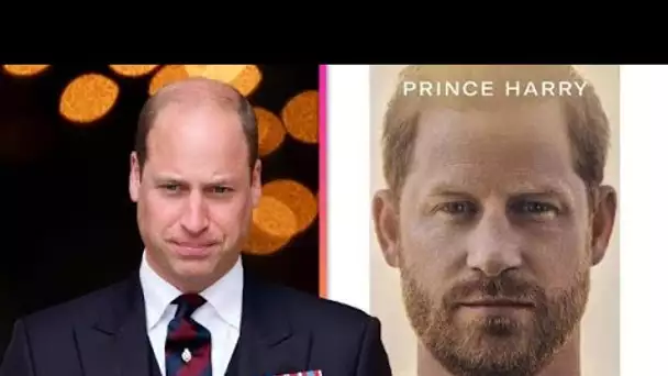Le prince Harry est parti « dévasté » par la réaction du prince William à sa crise de panique